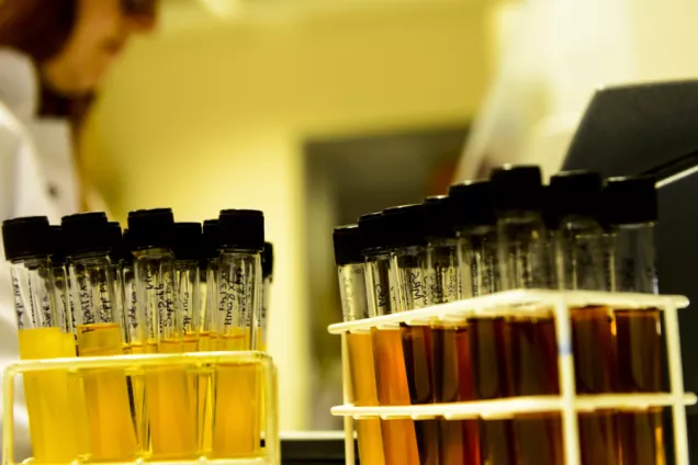 Tubes with liquid in different colors 